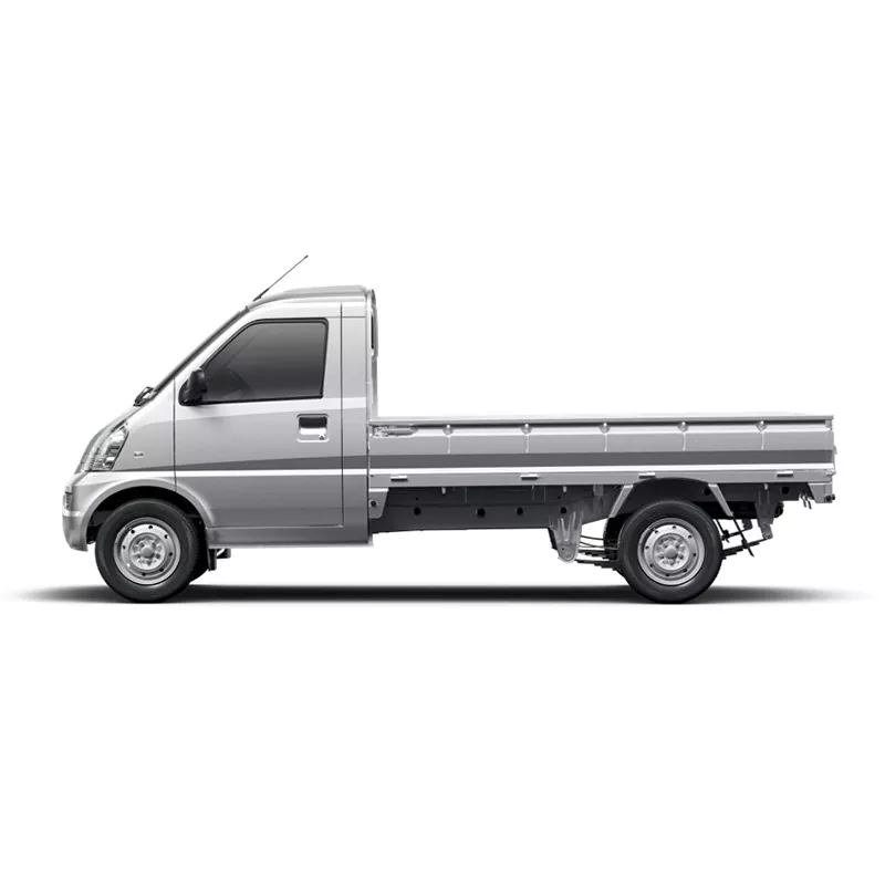 Potonp pickup
